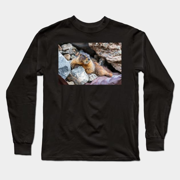 Marmot Long Sleeve T-Shirt by gdb2